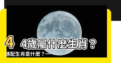 44歲屬什麼生肖|十二生肖查詢